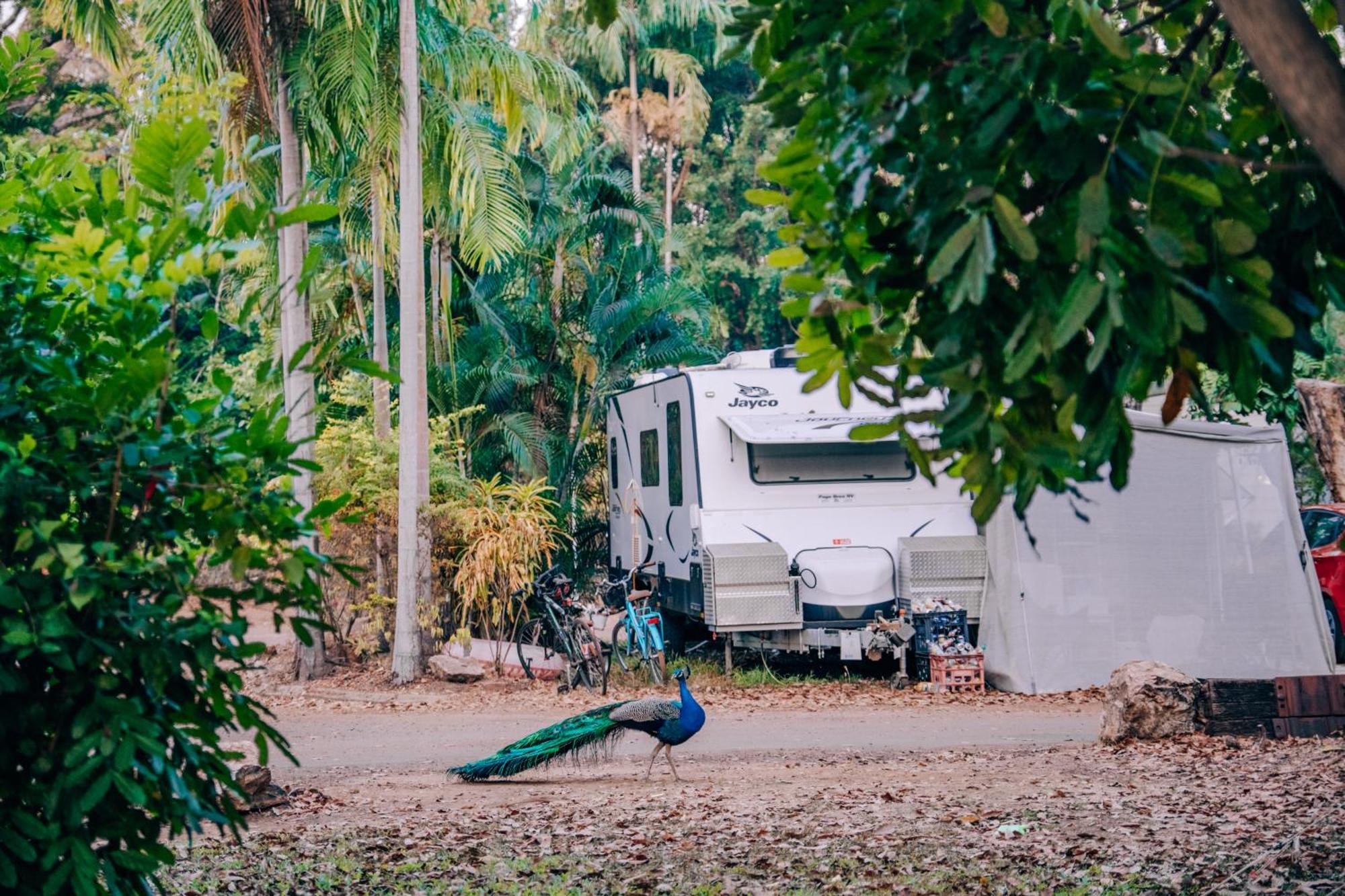 Big4 Howard Springs Holiday Park Darwin Dış mekan fotoğraf